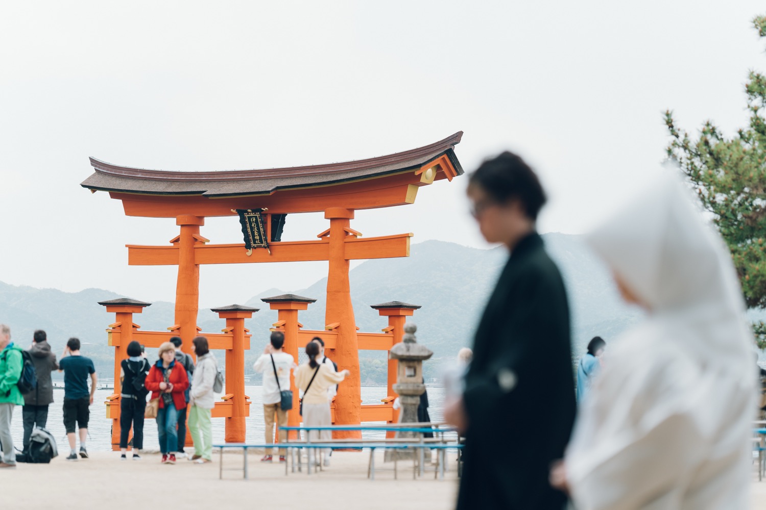 宮島結婚式イメージ写真