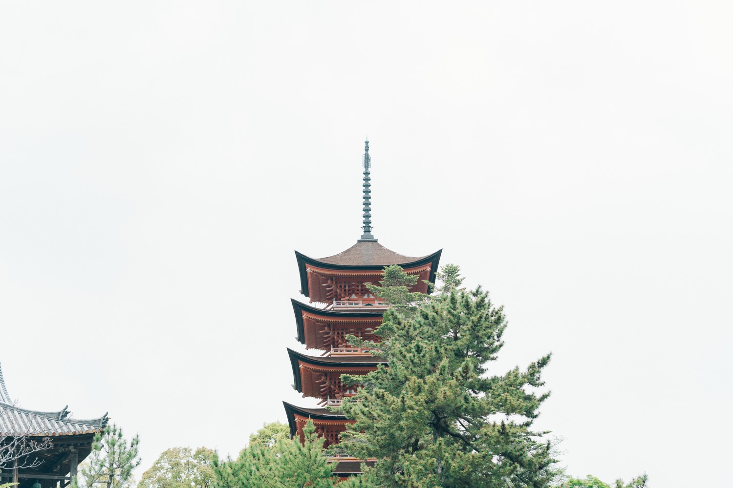 宮島結婚式イメージ写真